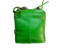 Paris Petite Leather Handbag - BARON Accessories Green NZ LUMA