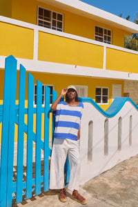 Jardin Stripe T ShIrt - HAVEN TOPS NZ LUMA